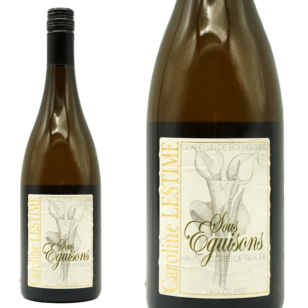 ブルゴーニュ オート コート ド ボーヌ ブラン スー ゼギゾン 2020 蔵出し品 ドメーヌ ジャン ノエル ガニャール元詰 自然派 ビオロジック