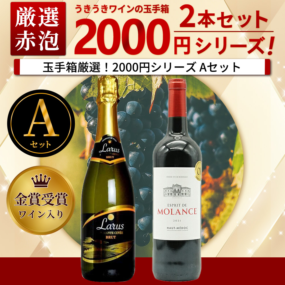 うきうきワインの玉手箱厳選!お値段以上の価値お約束!スタッフ厳選2,000円シリーズワインセット(赤1本、泡1本)(Aセット)