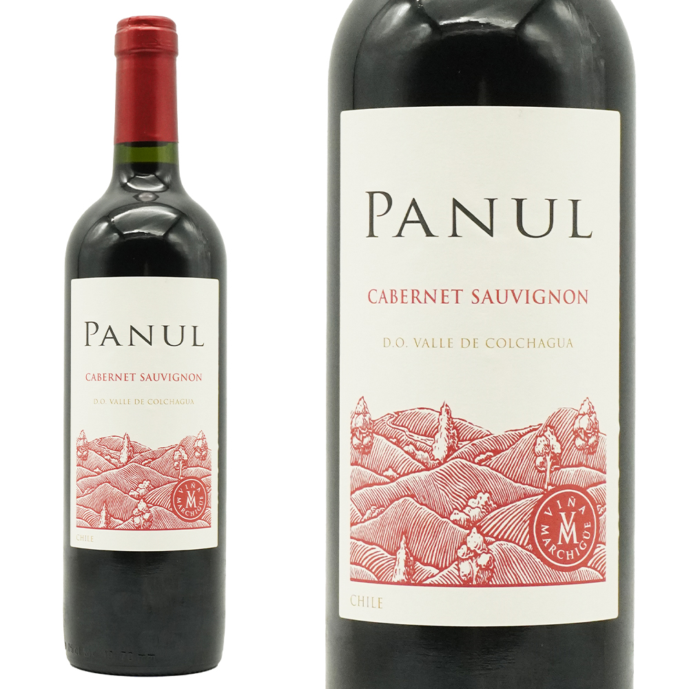 ビニャードス エラスリス オバリェ パヌール カベルネ ソーヴィニヨン 2024