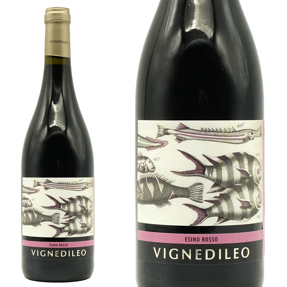 エジーノ ロッソ (古代魚ラベル)  2023  ヴィニェディレオ (トレ カステッリ)  (エマニュエル＆ジャンフィリッポ パルパチェッリ家)