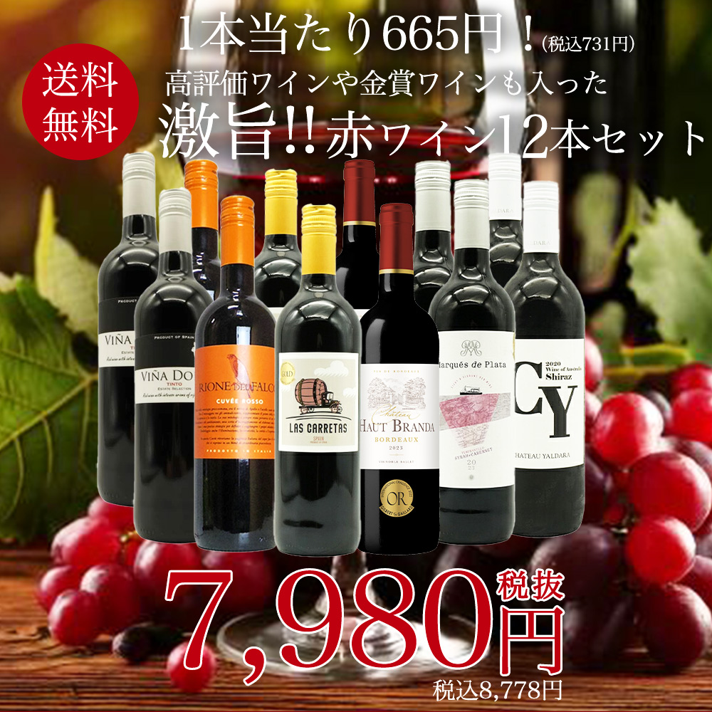 【送料無料】玉手箱厳選！高評価ワインや金賞ワインも入った激旨赤12本セット ワインセット (6種類×各2本)
