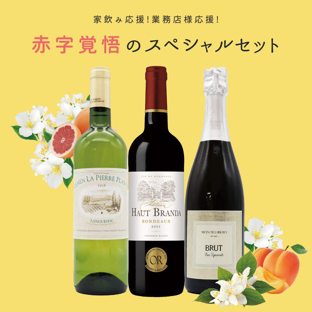 【送料無料】家飲み応援!業務店様応援!コロナに負けるな!ワインの玉手箱厳選!赤字覚悟の応援スペシャル赤・白・泡ワインセット【残り9本まで同梱可】
