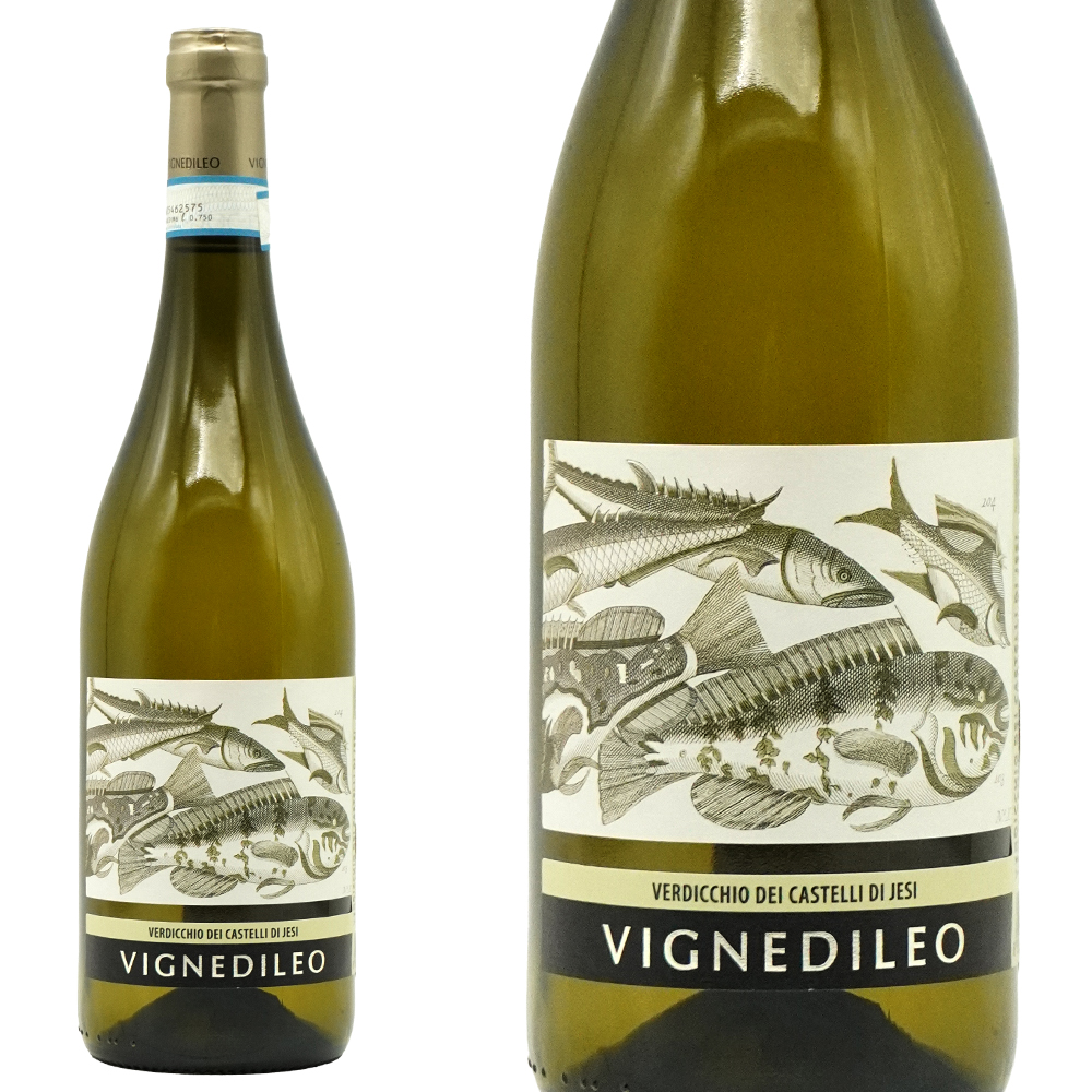 ヴェルディッキオ デイ カステッリ ディ イエージ クラッシコ (古代魚ラベル)  2024 ヴィニェディレオ (トレ カステッリ) 13%