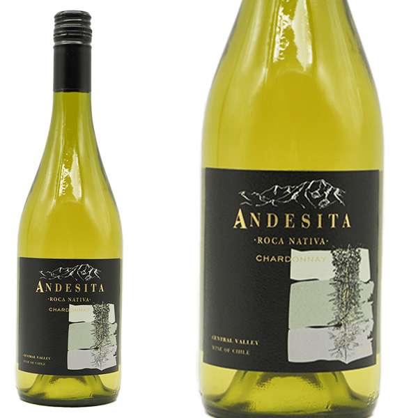 アンデシータ シャルドネ ヴィーニャ カサ シルヴァ チリ DOセントラル ヴァレー 辛口 白ワイン 750ml 1023
