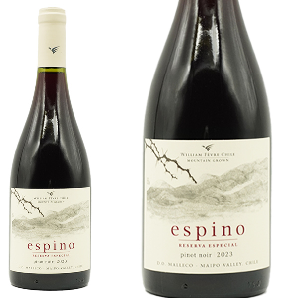 エスピノ ピノ・ノワール 2023年 ウイリアム・フェーヴル 750ml (チリ 赤ワイン)
