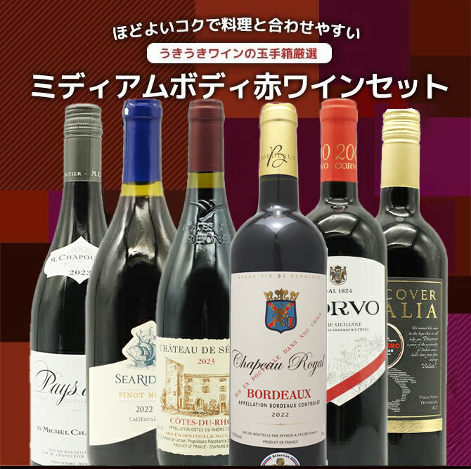 【送料無料】玉手箱厳選・各世界の極上ミディアムボディ飲み比べ赤ワイン6本セット