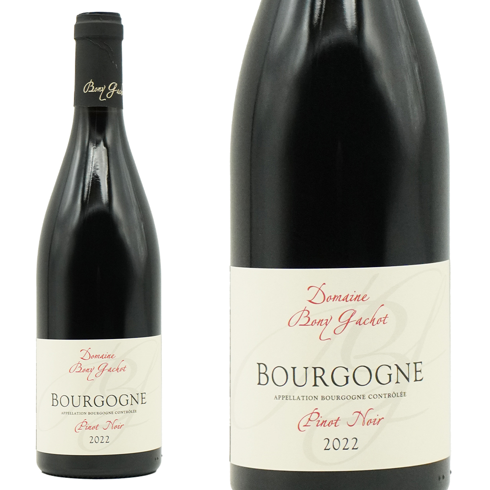 ブルゴーニュ ピノ ノワール 2022 蔵出し品 ドメーヌ ボニー ガショ (ジャン ピエール ボニー) 元詰 AOCブルゴーニュ ピノ ノワール
