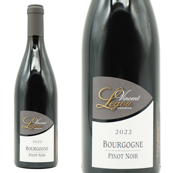 ブルゴーニュ ピノ ノワール 2022 蔵出し限定作品 ドメーヌ ヴァンサン ルグー元詰 H.C.Nの格下げワイン 自然派 ビオロジック 赤・辛口