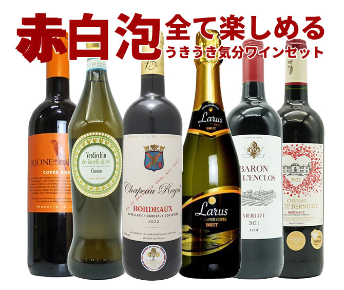 ワインセット 極上の味わい&価格に超自信あり!毎日の食卓に!赤・白・泡が全て入ったうきうき気分6本ワインセット! (送料無料) 家飲み