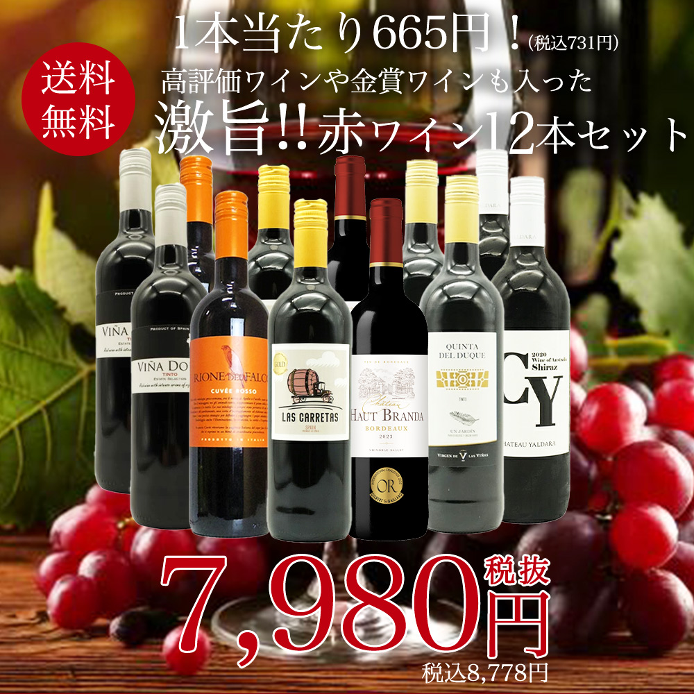【送料無料】玉手箱厳選!高評価ワインや金賞ワインも入った激旨赤12本セット ワインセット (6種類×各2本)