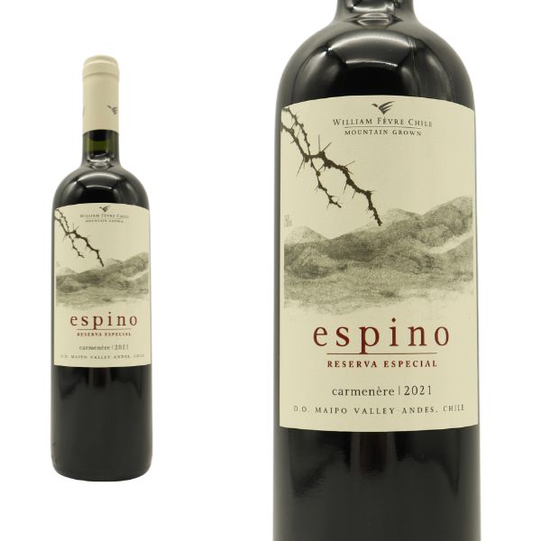 エスピノ カルムネール 2021 ウイリアム フェーヴル チリ D.O マイポヴァレー 正規 ワイン 赤ワイン  (エスピノ カルムネール) (ウイリアム フェーヴル)