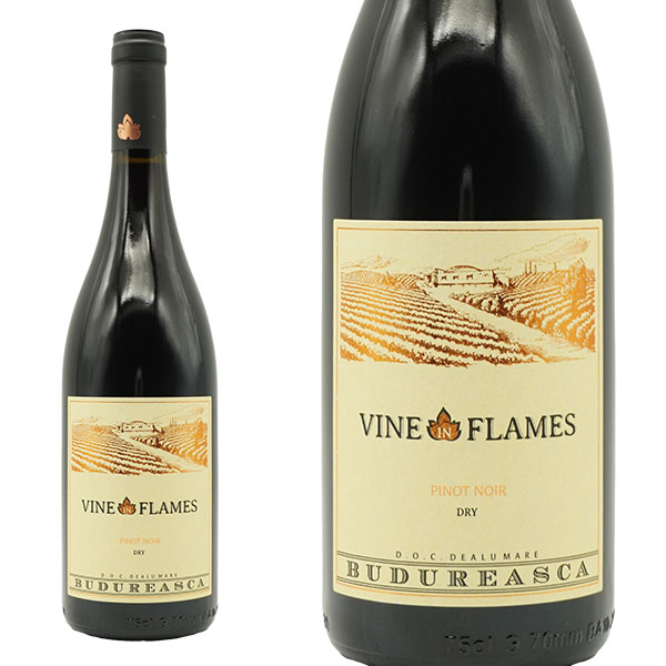 ヴァイン・イン・フレイム ピノ・ノワール 2023年 ブドゥレアスカ 750ml （ルーマニア 赤ワイン）