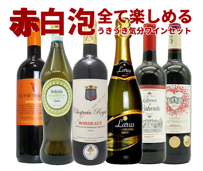 ワインセット 極上の味わい&価格に超自信あり!毎日の食卓に!赤・白・泡が全て入ったうきうき気分6本ワインセット! (送料無料) 家飲み