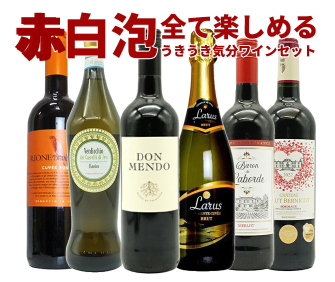 ワインセット 極上の味わい&価格に超自信あり!毎日の食卓に!赤・白・泡が全て入ったうきうき気分6本ワインセット! (送料無料) 家飲み