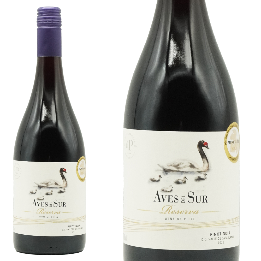 デル スール ピノ ノワール レセルバ 2022 アコンカグア カサブランカ ヴァレーD.O. リアルワインガイド最新92号旨安大賞の快挙