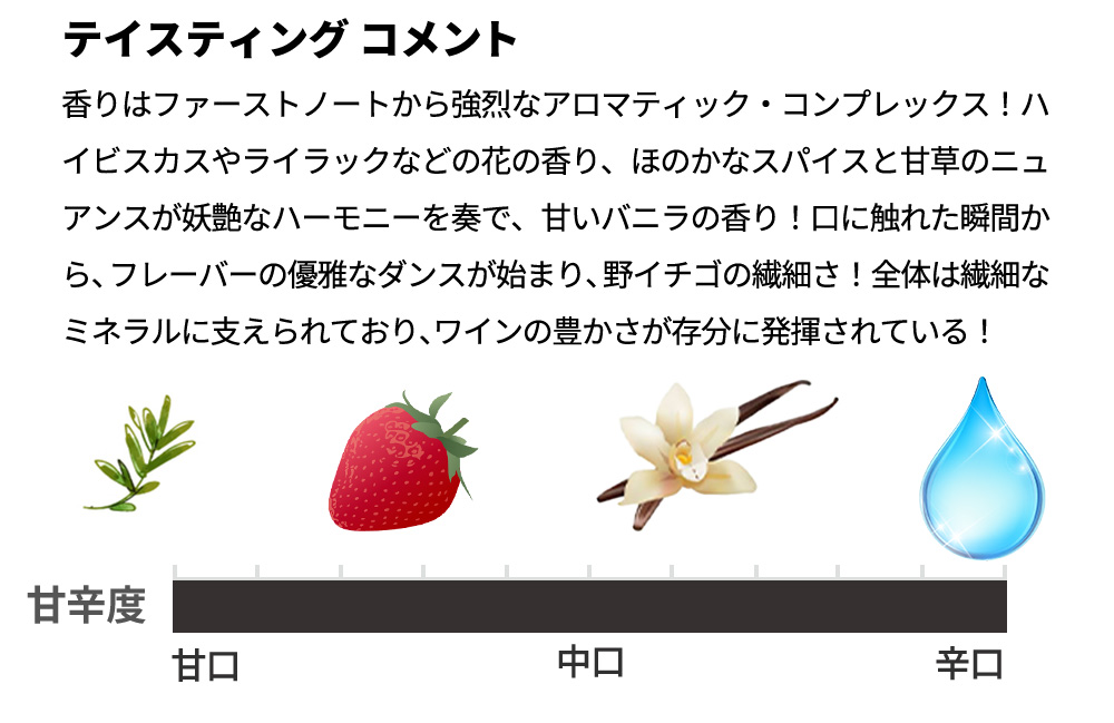 dショッピング |【箱入り】Y by Yoshiki × シャンパーニュ dショッピング |【箱入り】Y by Yoshiki × シャンパーニュ