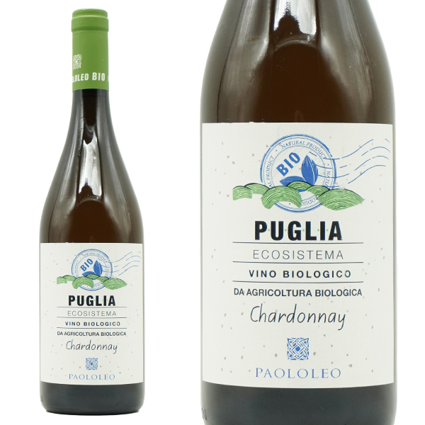 エコシステマ シャルドネ ビオロジコ 2023 カンティーネ パオロレオ元詰 自然派 12.5％ リアルワインガイド誌2025年88号で旨安大賞受賞