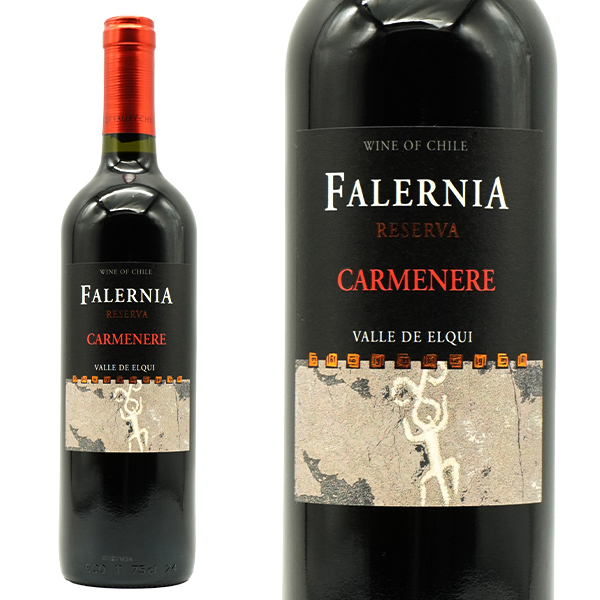 ビーニャ ファレルニア カルムネール レセルバ 2021 D.O.エルキ バレー 重厚ボトル ミディアムボディ 辛口 赤ワイン