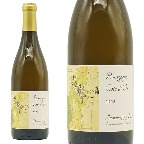 ブルゴーニュ ブラン コート ドール 2022 蔵出し作品 ドメーヌ ギィ ボカール元詰 自然派 有機オーガニック RVF誌2025年版で90点獲得