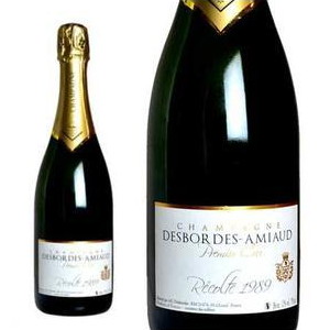 デボルド アミオー シャンパーニュ ブリュット レコルト 1989 プルミエ クリュ R.M 生産者元詰  ドメーヌ ロジェ プイヨン元詰