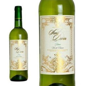 【555均】サン ディヴァン ブラン