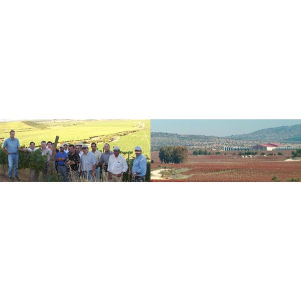 パヌール シャルドネ 2024 ビニャードス・エラスリス・オヴァリュ 750ml チリ 白ワイン