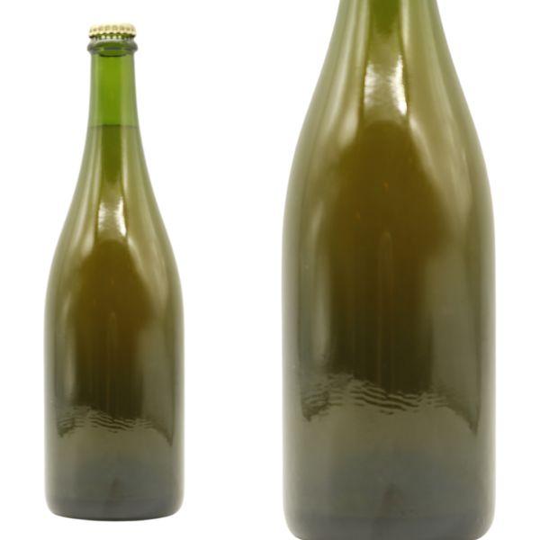 アグリ クール デラ ロジック 2022 ドメーヌ テッタ 片寄広朗氏によるファーストヴィンテージ 微発泡 辛口 スパークリングワイン