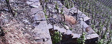 ドゥーカ エンリコ 2015 ドゥーカ ディ サラパルータ元詰 イタリア シチリア フルボディ(重口) 辛口 重厚ボトル 正規品