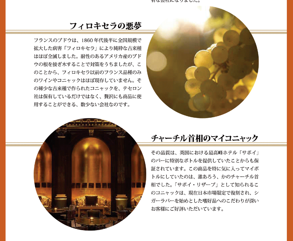 テセロン LOT53 3本 パーカー 98点 長期熟成 コニャック おまけ付き dショッピング |【送料無料】【箱入】コニャック テセロン LOT53
